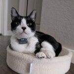Pawfit Lite GPS Tracker
