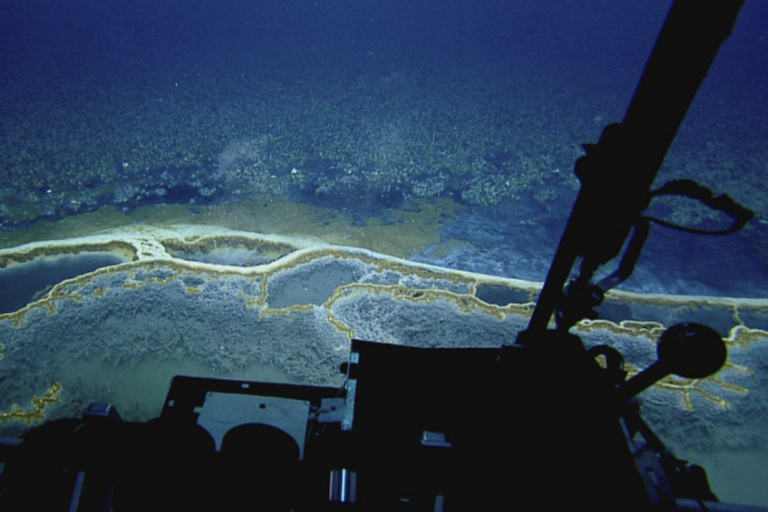 Een op afstand bestuurd voertuig onderzoekt pekelplasformaties in het Orca Basin, de Golf van Mexico. Afbeelding met dank aan Ocean Exploration Trust/Nautilus Live.