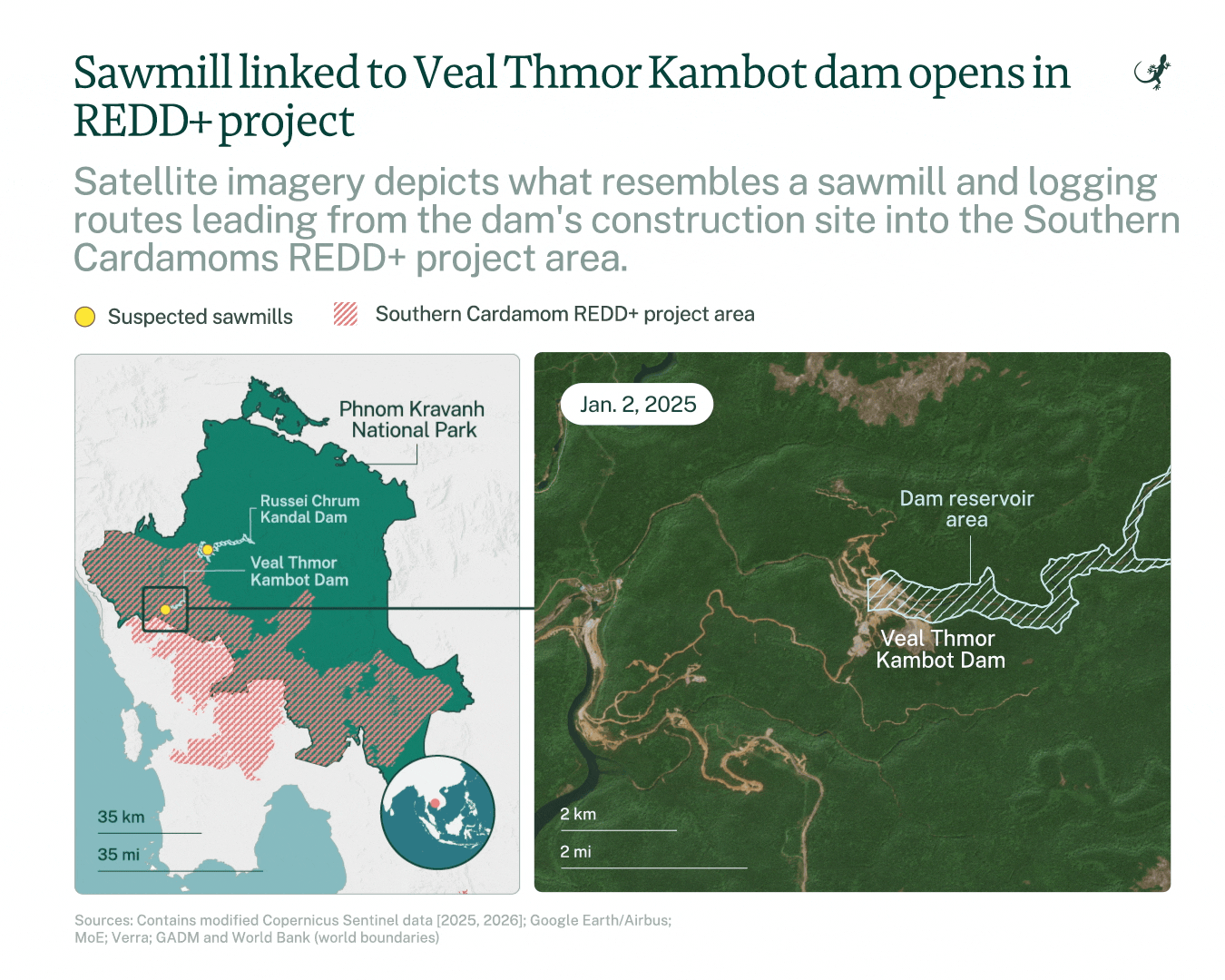 Boskap die schijnbaar verband houdt met de Veal Thmor Kambot-dam heeft gevolgen gehad voor het Southern Cardamom REDD+-project. Afbeelding door Emilie Languedoc/Mongabay.