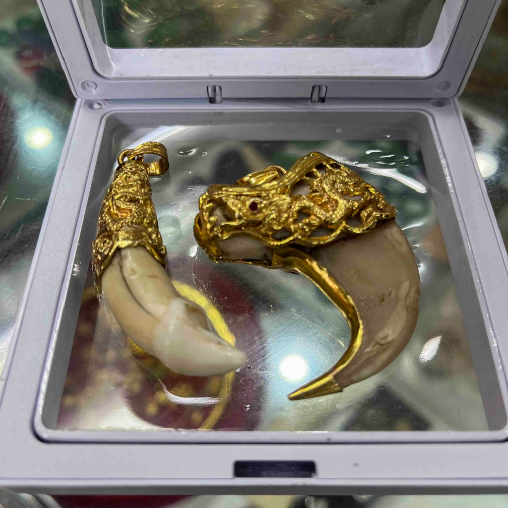 Van tijgerklauwen en -tanden worden sieraden gemaakt en voor een flink bedrag verkocht, zoals deze die in een winkel in Hanoi, Vietnam wordt tentoongesteld.