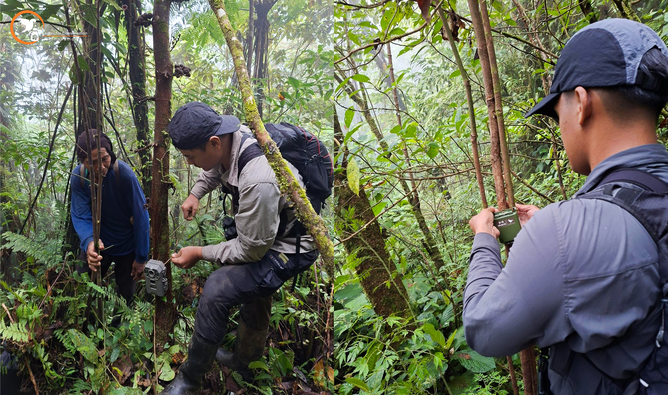 Een expeditieteam plaatst cameravallen in het Mindoro-woud, Filippijnen.
