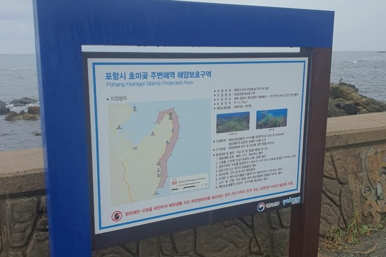 Uit een bericht van het Zuid-Koreaanse Ministerie van Oceanen en Visserij, gezien op 16 augustus 2026, blijkt dat de wateren rond Guman-ri en Daebo-ri beschermde gebieden zijn en dat het beschadigen of beschadigen van de paaigronden of habitats ten strengste verboden is.