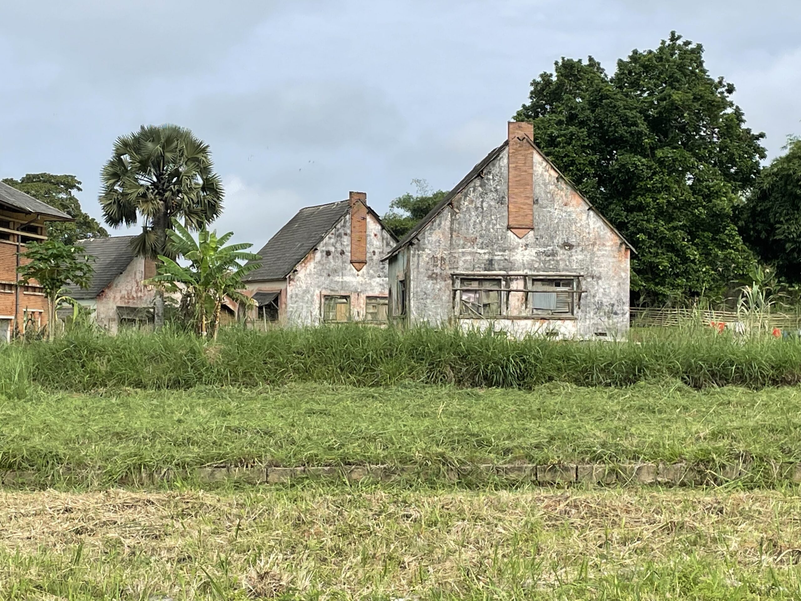 Huizen voor Belgische werknemers van het Nationaal Instituut voor Agronomische Studies en Onderzoek (INERA). Afbeelding met dank aan Fergus O'Leary Simpson.