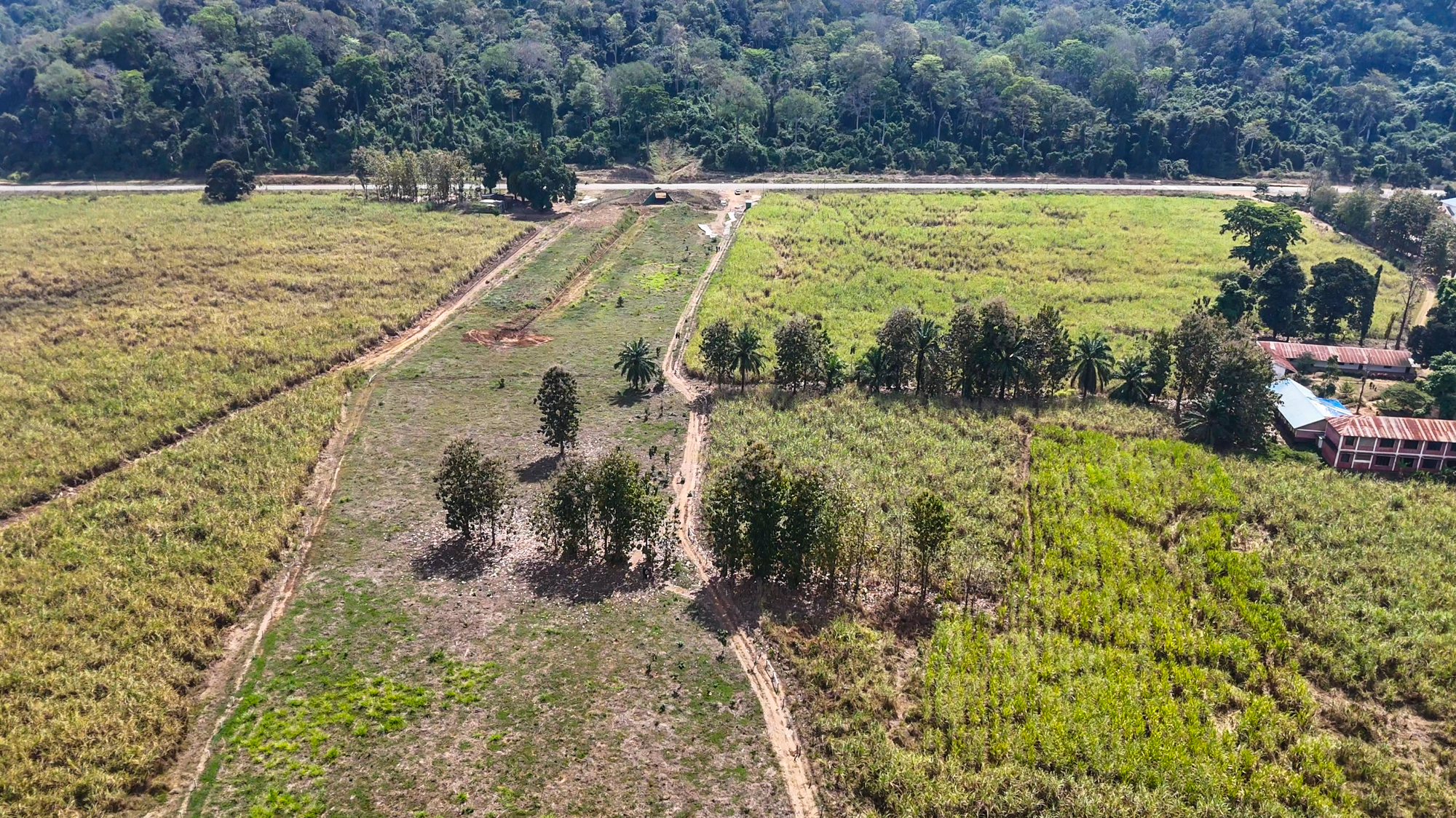 Olifanten die de wildcorridor gebruiken, moeten nog leren de onderdoorgang te gebruiken onder de geasfalteerde weg die langs de voet van het Udzungwa-gebergte loopt. Fotocredit: Zuid-Tanzania Olifantenprogramma.