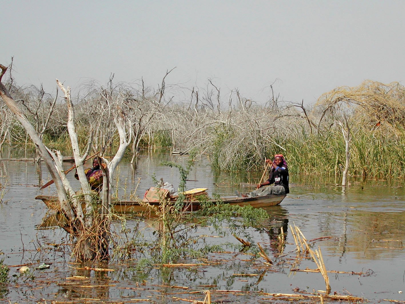 Peddelen met een kano op het Tsjaadmeer in 2003. Afbeelding door François Declaux/IRD via Flickr (CC BY-NC 2.0)