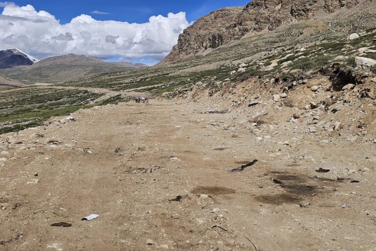 Een recentelijk aangelegde weg die dwars door het belangrijkste leefgebied van wilde dieren loopt in Gyau, Upper Limi, Humla, Nepal, een van de laatste toevluchtsoorden in de regio voor kiang, wilde yaks en wolven uit de Himalaya. De weg werd aangelegd in de hoop meer religieus toerisme aan te trekken en is niet van algemeen nut voor de lokale gemeenschap, maar is wel een route geworden voor de illegale handel in wilde dieren over de grens. Afbeelding met dank aan Geraldine Werhahn/Himalaya Wolves Project.