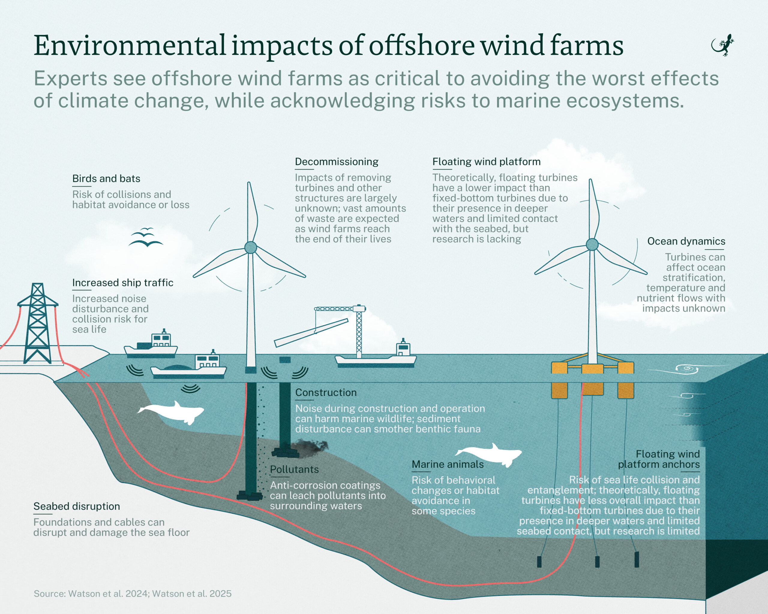 Infographic: Impact van mariene winf