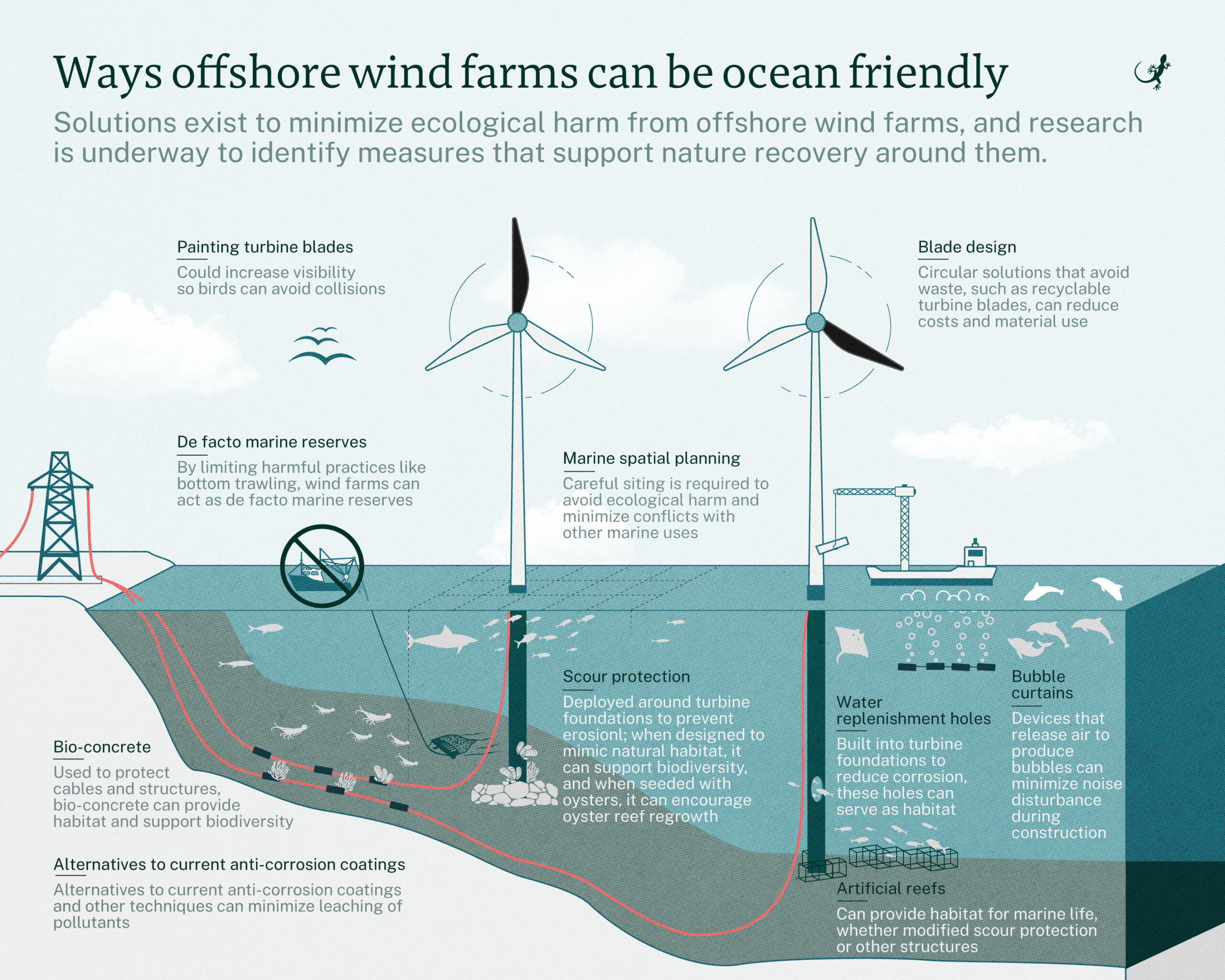 Infographic: Voordelen van mariene winsten