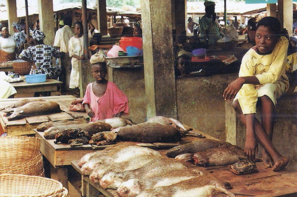Bushmeat-markt in Uwa, staat Edo, Nigeria.