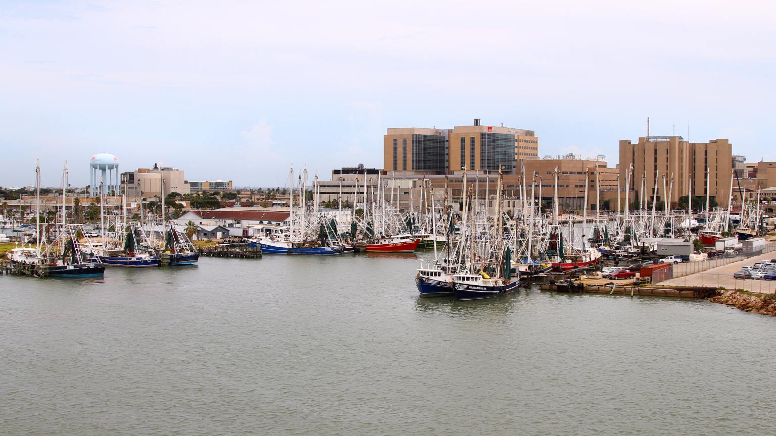 NOAA Fisheries assistent-beheerder Eugenio Piñeiro Soler onderzoekt de aquacultuur van Japanse oesters in de staat Washington in juni 2025.