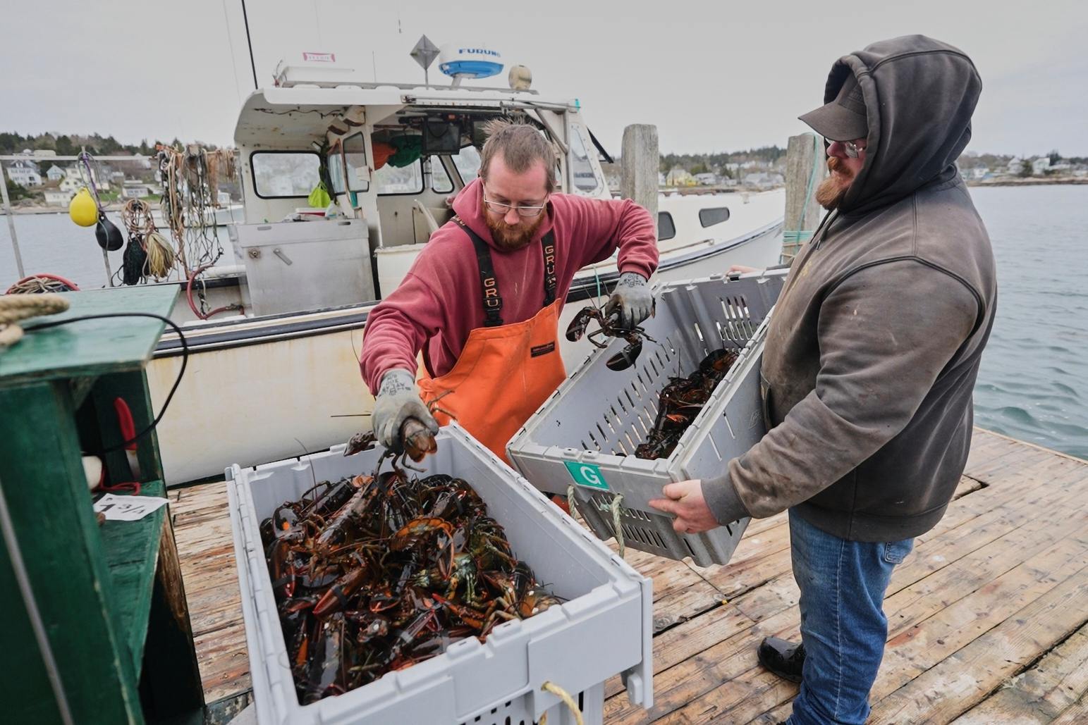 Commerciële dealers wegen kratten kreeften op een kade in Stonington, Maine, in mei 2025.