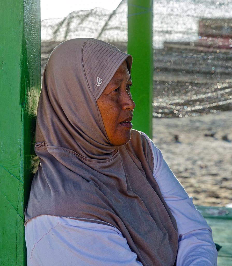 Hani, hoofd van stichting JARI, kijkt uit over het water voor de kust van het Indonesische eiland Sumbawa. 