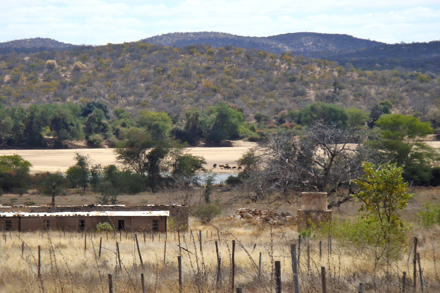 Stokken die werden gebruikt om tomaten te ondersteunen zijn zichtbaar en de zichtbare structuur diende als onderkomen voor de seizoensarbeiders. De rivier verder de boerderij is Limpopo, die Zuid-Afrika en Zimbabwe scheidt. Er wordt gezien dat vee uit Zimbabwe water uit de rivier drinkt. 
