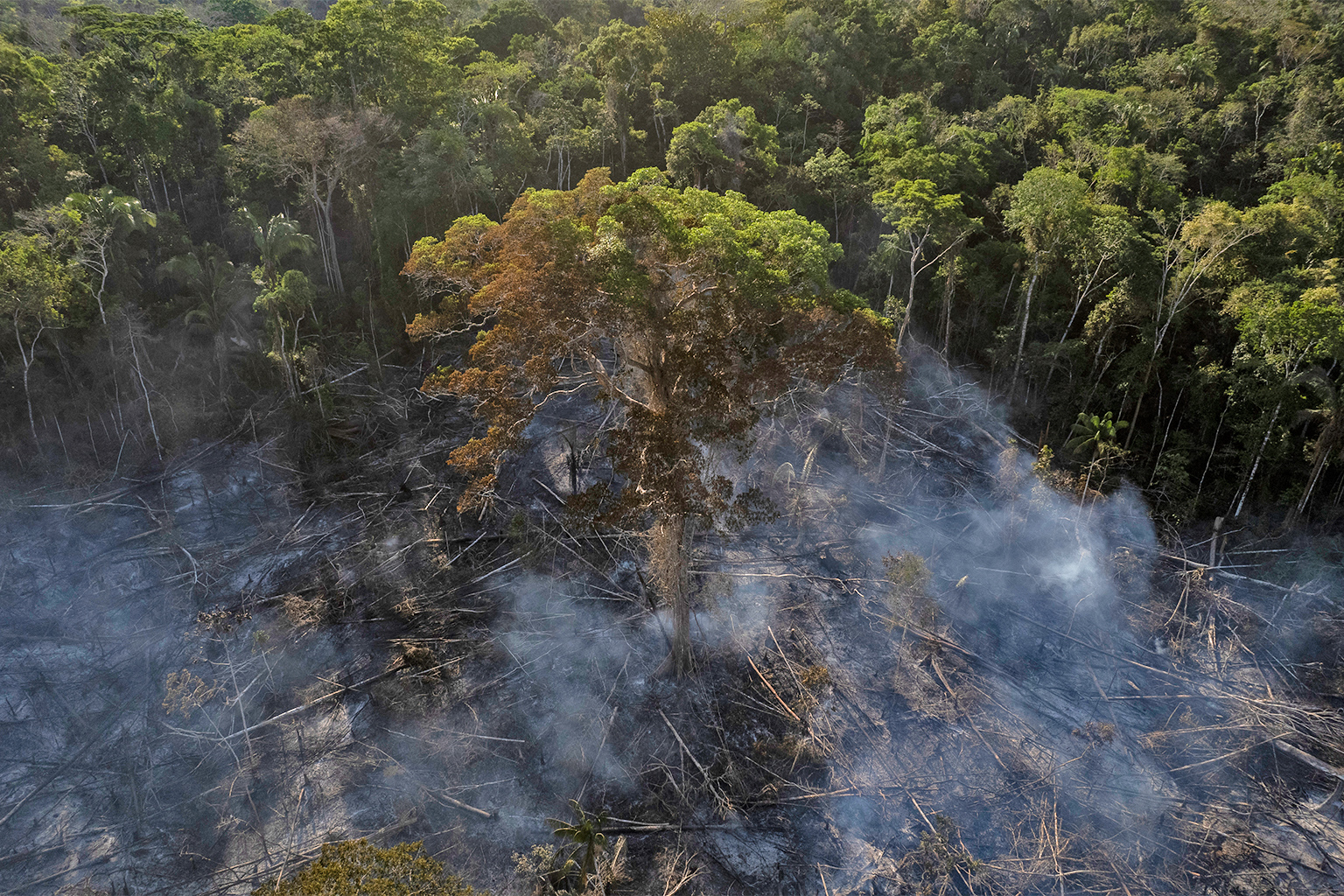Land verbrand om plaats te maken voor grazend vee in de Braziliaanse deelstaat Acre.
