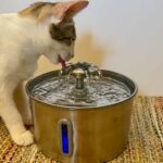 BalimoPet Stainless Steel Cat Water Fountain