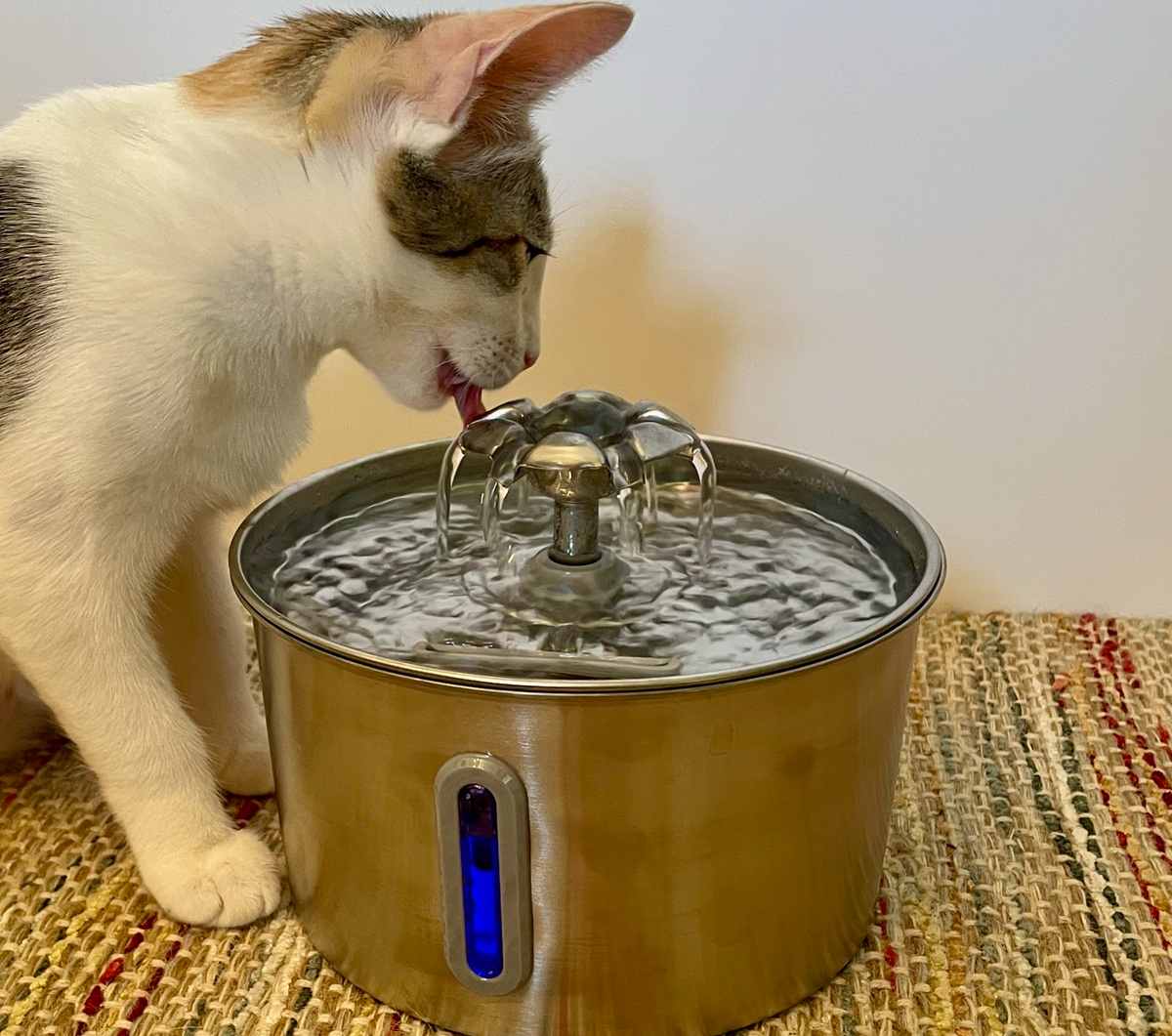 BalimoPet Stainless Steel Cat Water Fountain