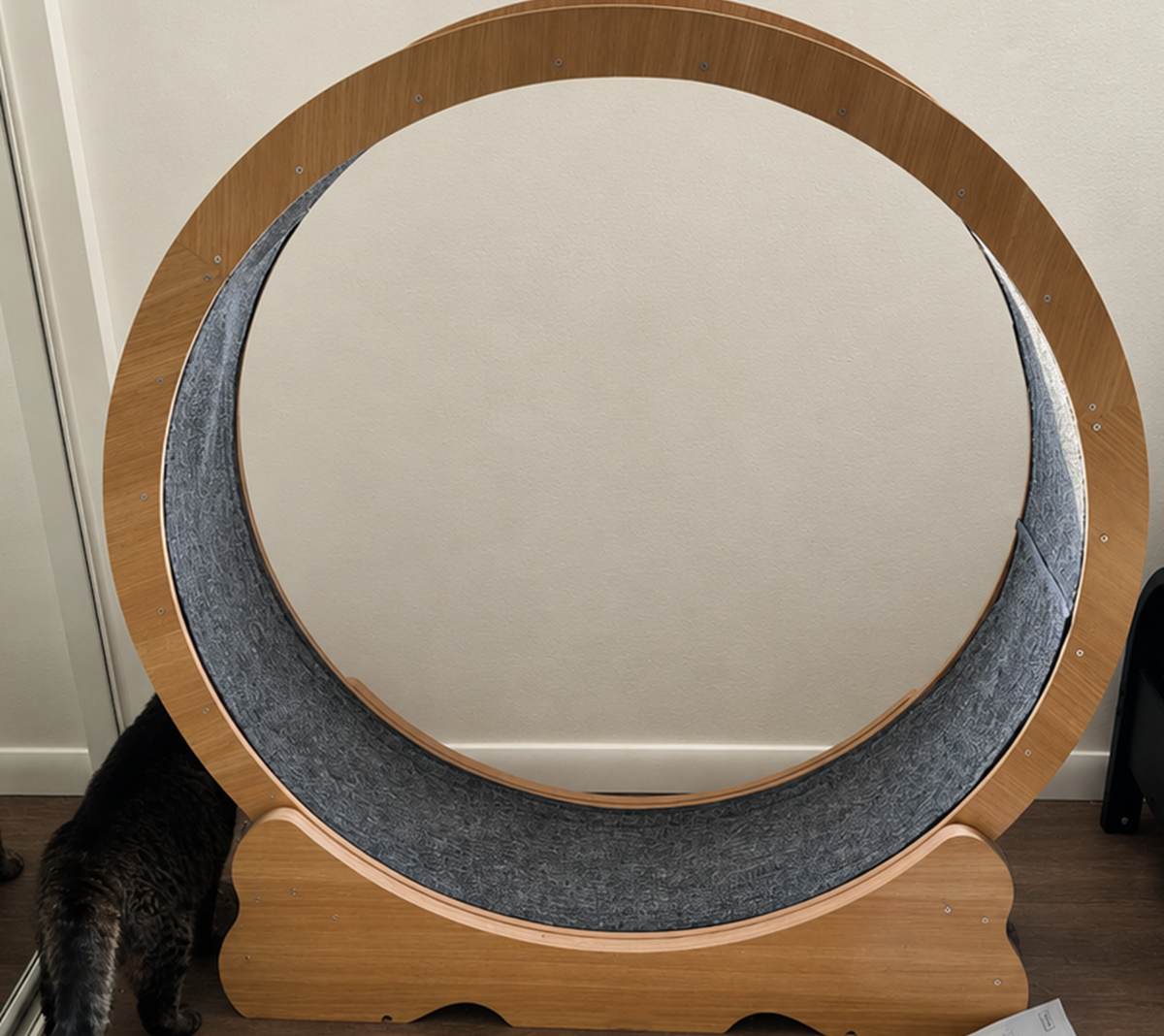 Polahaku Cat Wheel