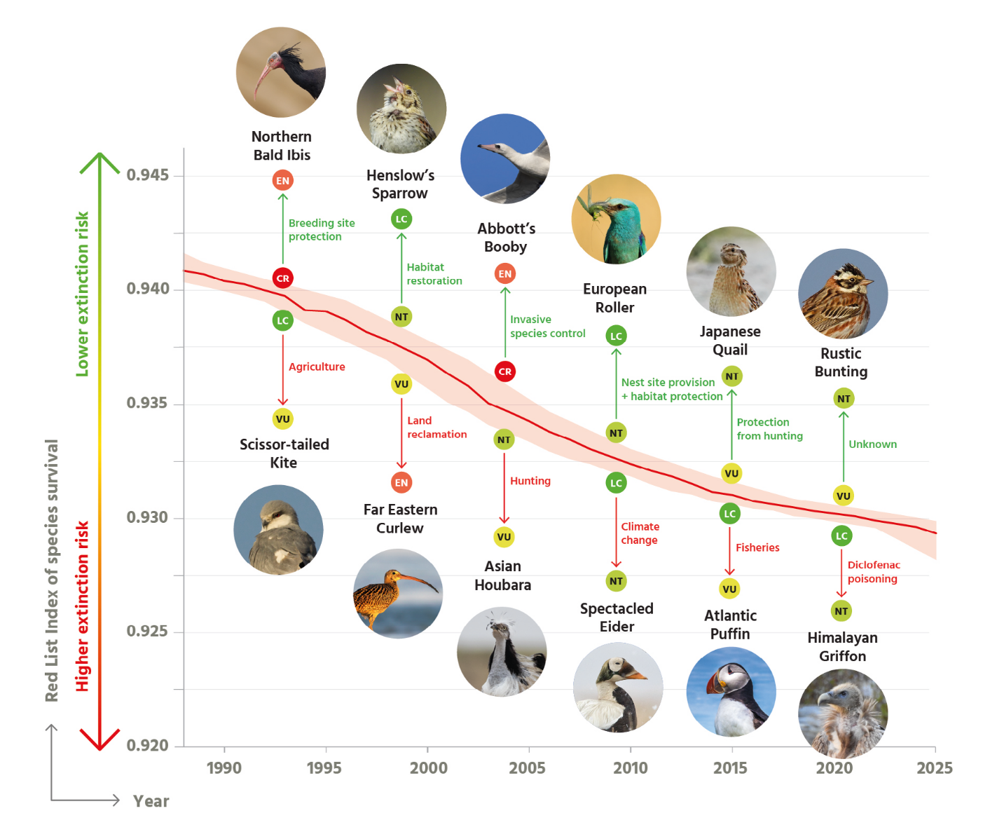 De Rode Lijst-index voor de overleving van soorten voor trekvogels, met voorbeelden van soorten die op en neer zijn gezet en de belangrijkste factoren die deze veranderingen aandrijven. Afbeelding met dank aan BirdLife International, 2026.