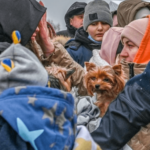 Dieren hebben een plaats nodig in de Europese burgerbeschermingsplannen