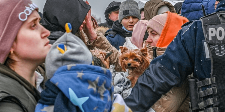 Dieren hebben een plaats nodig in de Europese burgerbeschermingsplannen