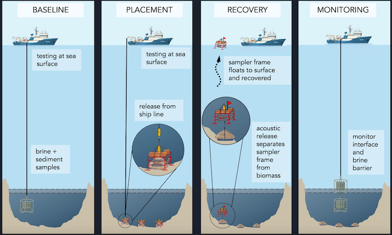 Voorgestelde testfasen van het Marine Anoxic Carbon Storage-project (MACS) in de Golf van Mexico. Afbeelding met dank aan Carboon, Inc.