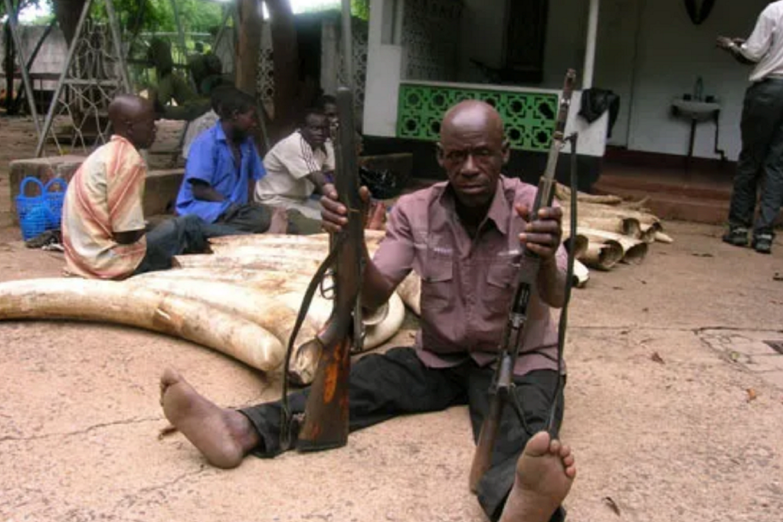 Deze stroper en zijn handlangers (op de achtergrond) werden in Zambia opgepakt met illegale vuurwapens en 42 stukken ivoor. Onderzoekers proberen nu te begrijpen waarom degenen die veroordeeld zijn voor stroperij en handel in wilde dieren deze misdaden hebben gepleegd – en hoe ze hen kunnen helpen andere manieren te vinden om in hun levensonderhoud te voorzien als ze worden vrijgelaten.
