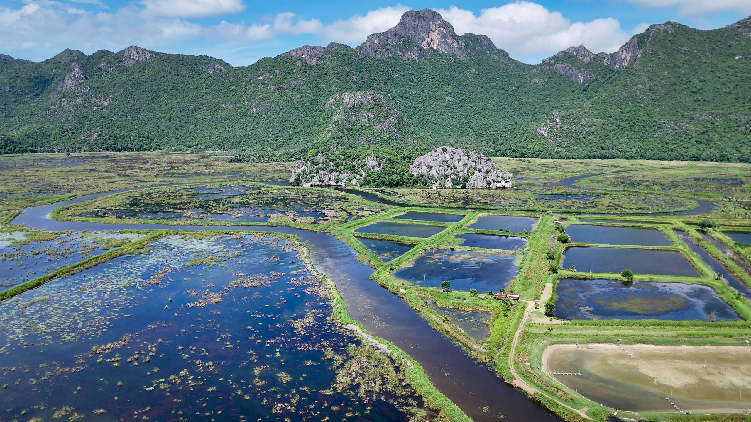 Moerasland en visvijvers in Thailand