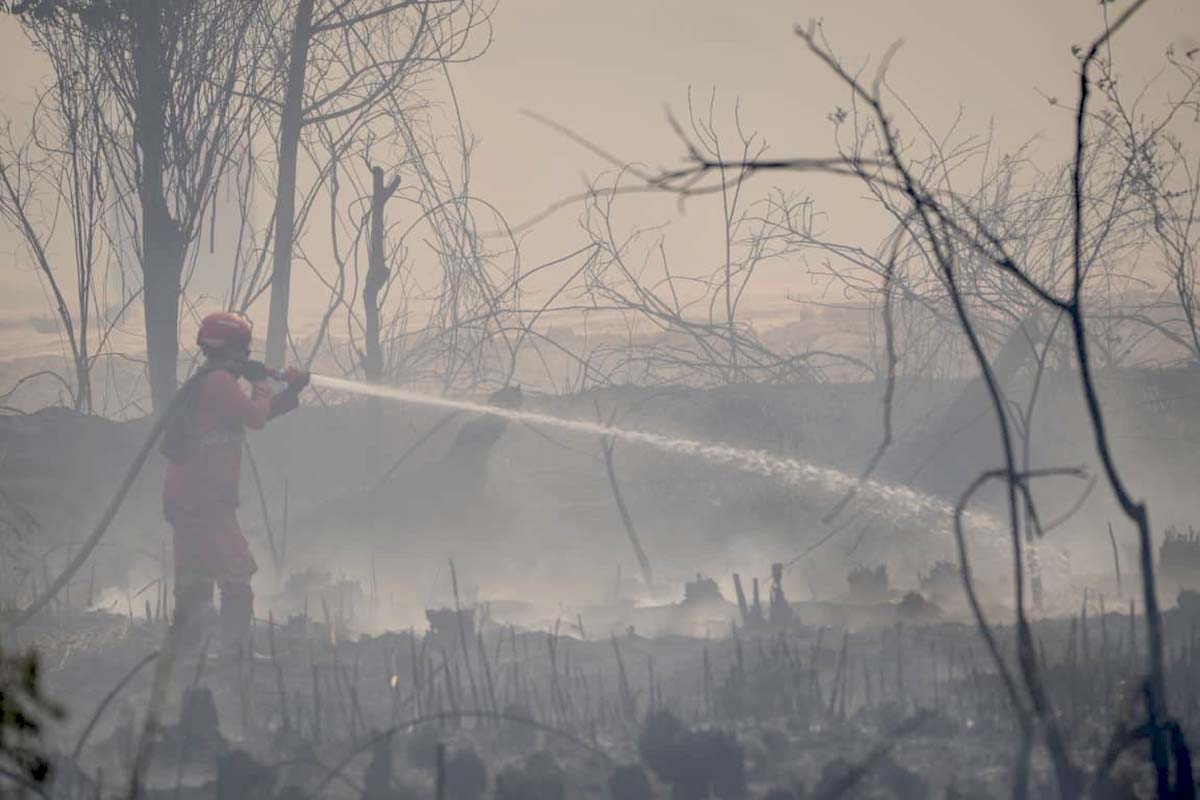 Brandweerlieden proberen de brand te blussen te midden van wervelende rook.