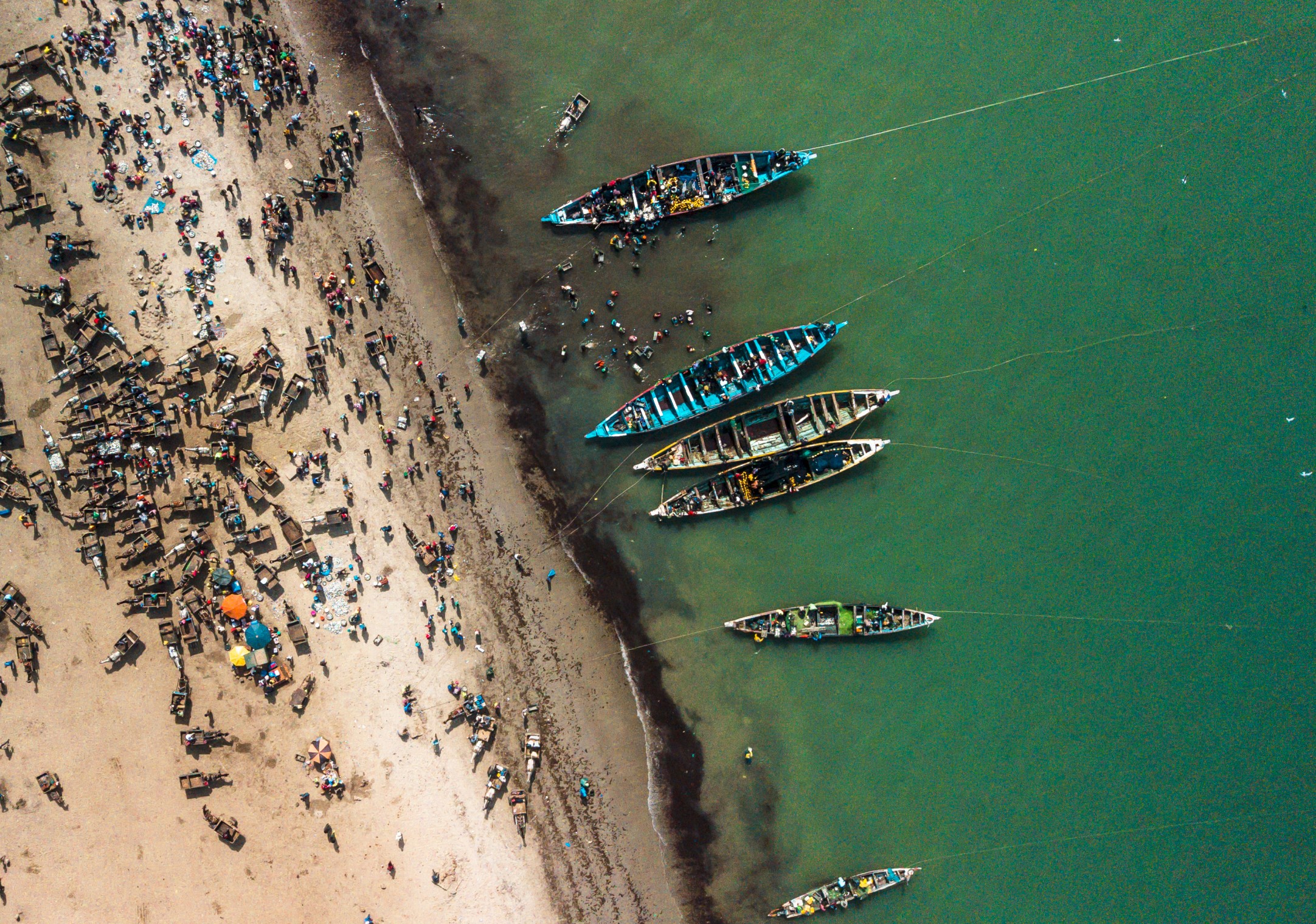 Vismeelfabrieken in West-Afrika brengen de voedselzekerheid en het levensonderhoud van miljoenen mensen in gevaar. Deze fabrieken gebruiken enorme hoeveelheden verse vis om de aquacultuur en het vee te voeden. Afbeelding door © Julien Flosse / Greenpeace