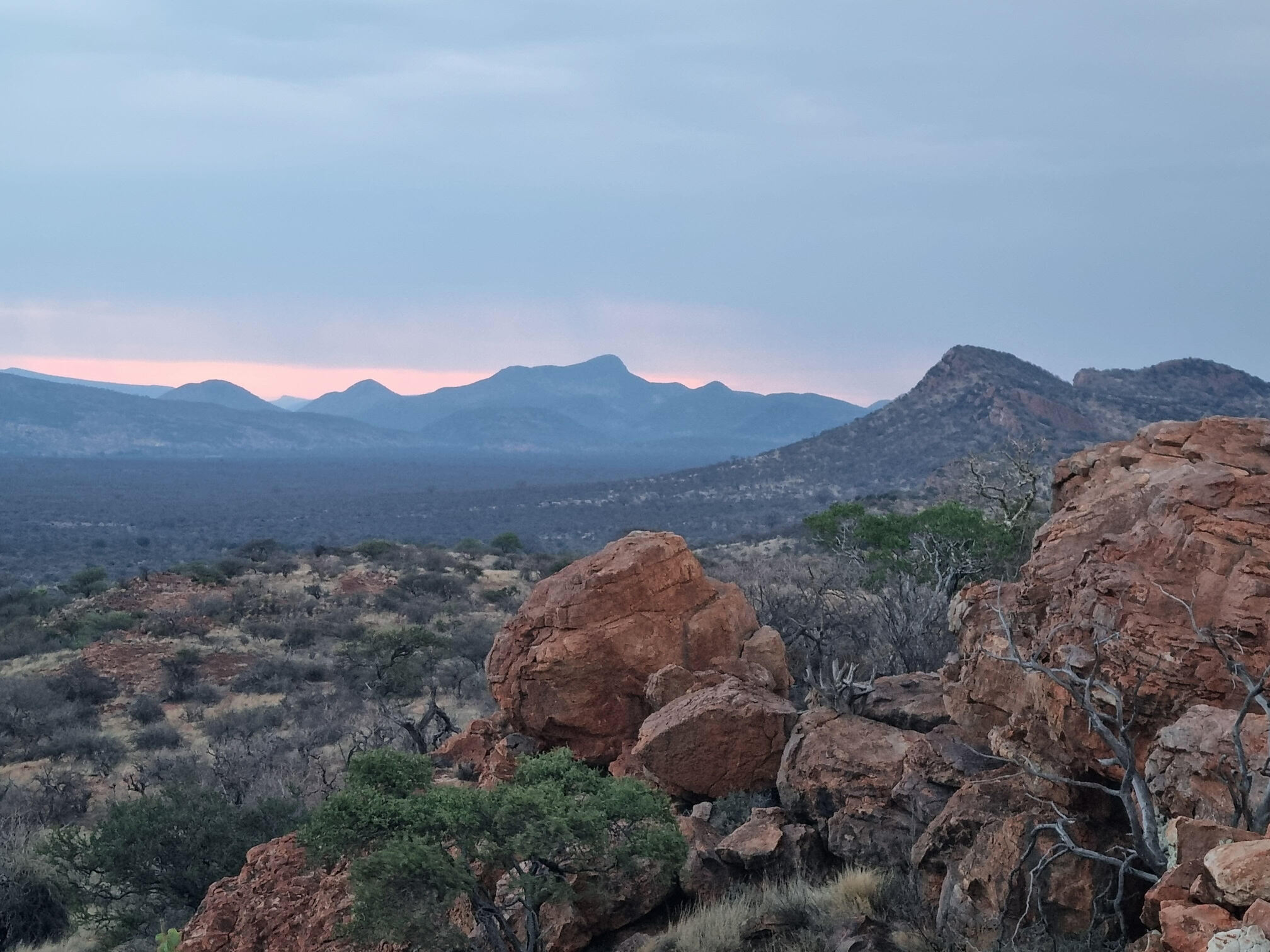 Een rotsachtig bushveldlandschap in het Vhembe Biosfeerreservaat, in het noorden van Limpopo. Afbeelding met dank aan Endangered Wildlife Trust.