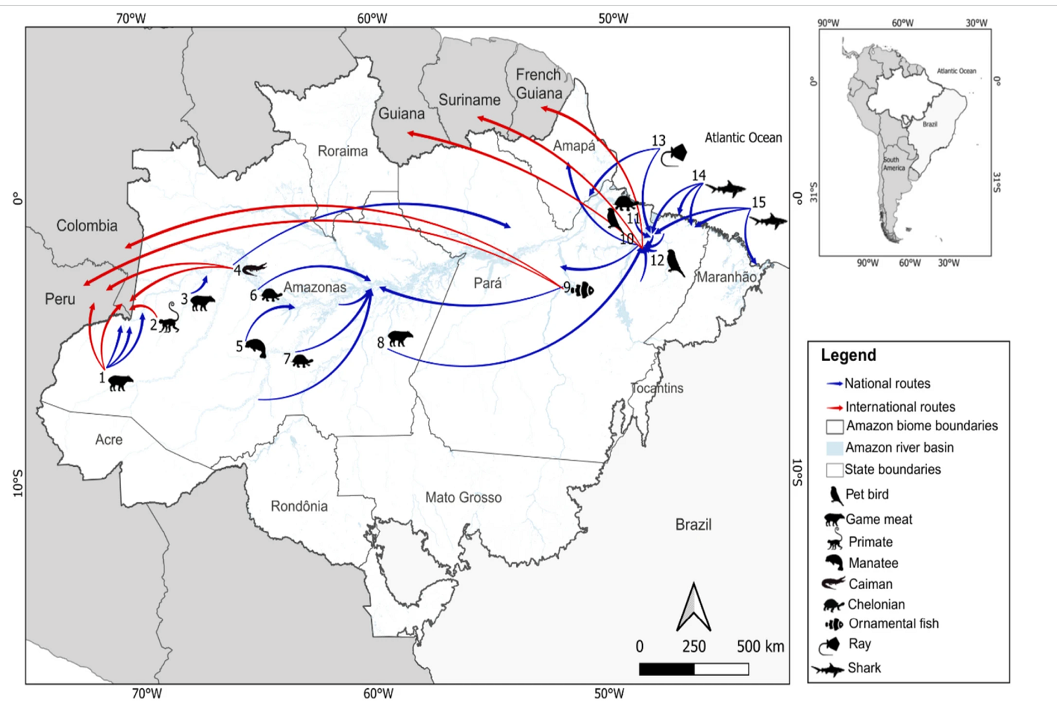 Kaart met de belangrijkste routes voor de smokkel van wilde dieren in het Braziliaanse Amazonegebied. Afbeelding uit ‘The Illegal Wildlife Trade in the Brazilian Amazon: A Systematic Review of Patterns, Routes, and Drivers’, gepubliceerd in Human Ecology.