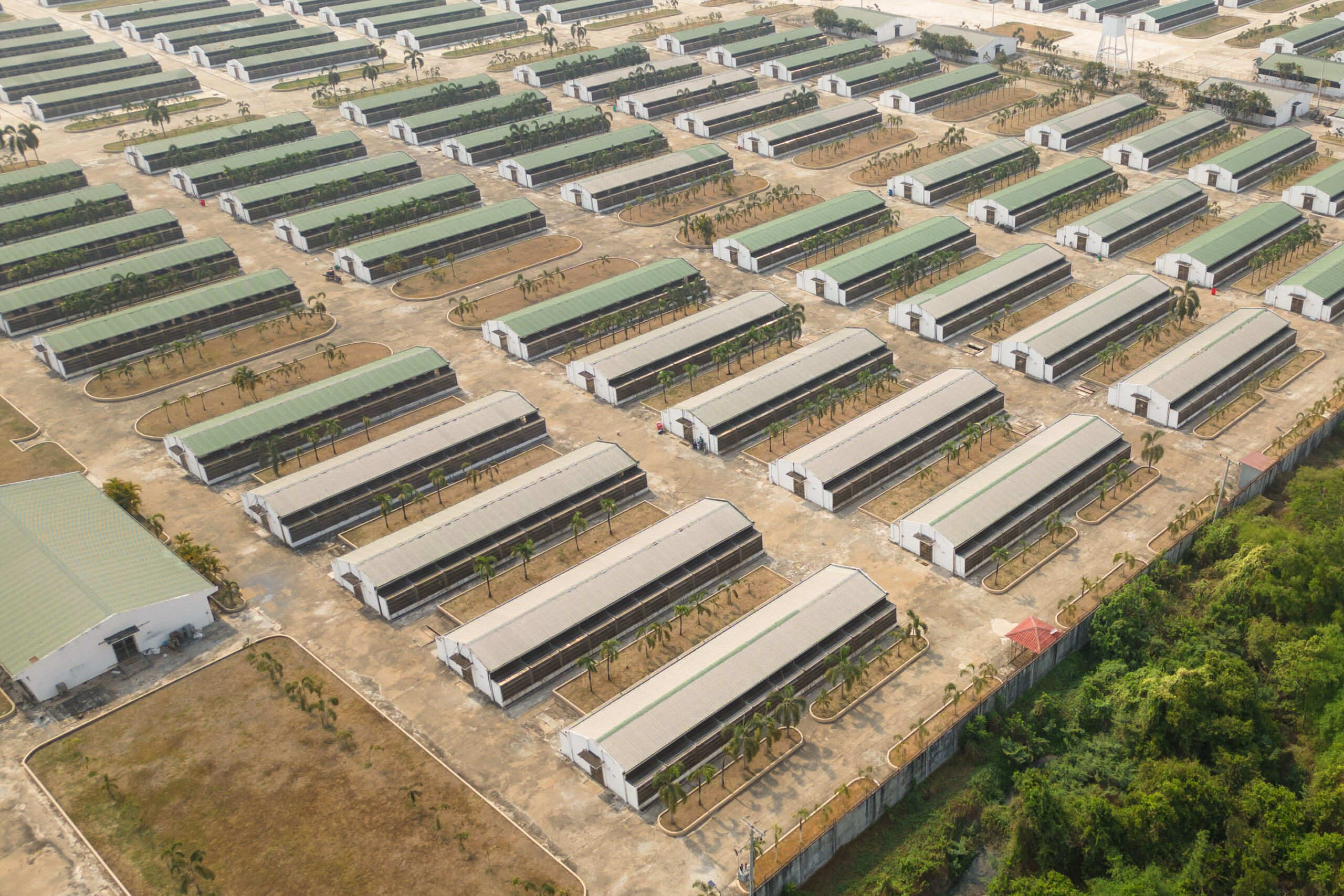 Verslaggevers bezochten een broedplaats voor langstaartmakaken in de provincie Pursat. De boerderij is eigendom van Vanny Bio, een van de bedrijven die door de Amerikaanse federale aanklagers zijn aangeklaagd. Afbeelding door Gerald Flynn / Mongabay.