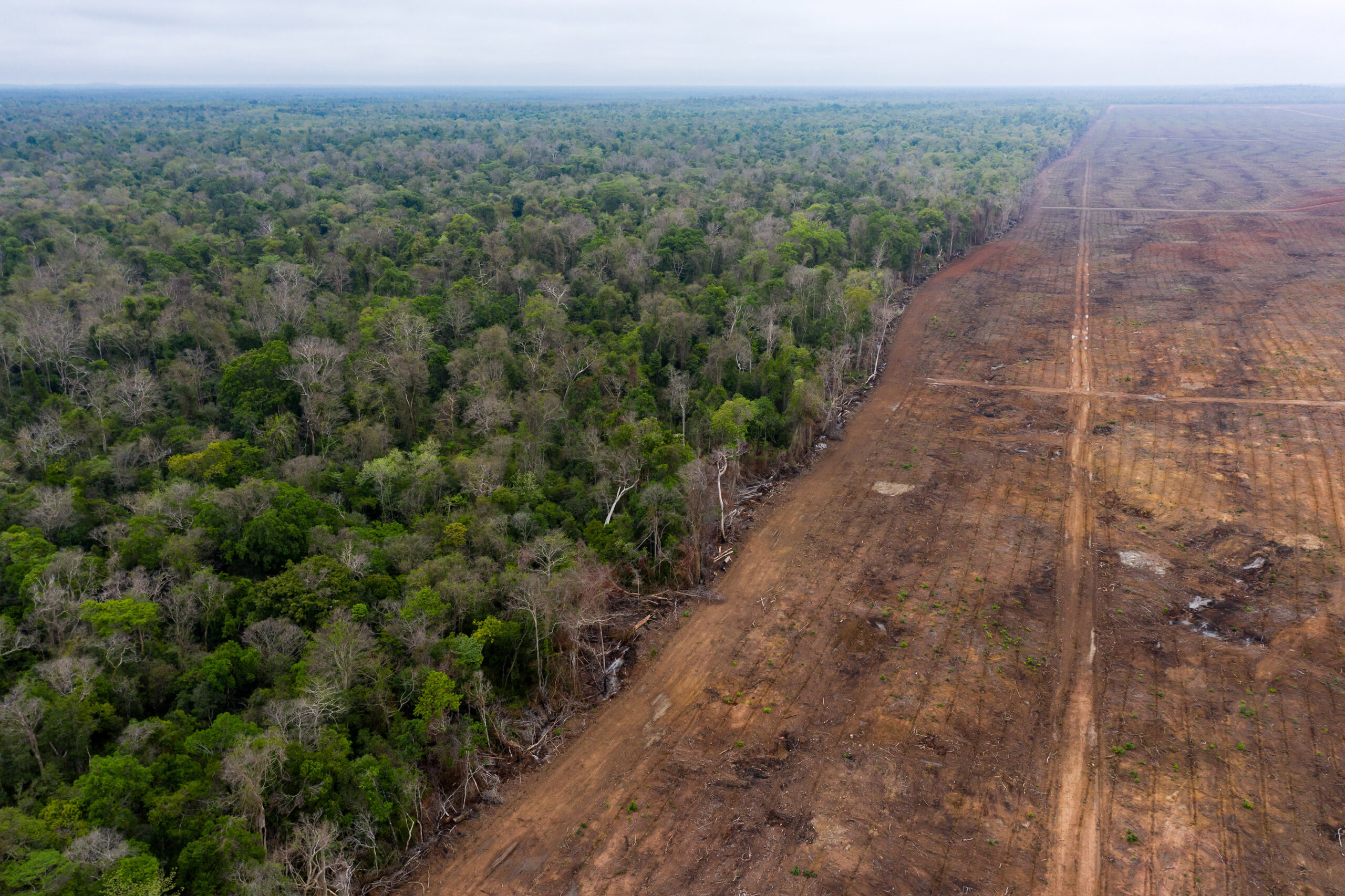 Momentopname van een dronevideo die de ontbossing laat zien in het Prey Lang Wildlife Sanctuary, een bekend leefgebied voor langstaartmakaken in Cambodja. Afbeelding door Andy Ball voor Mongabay.