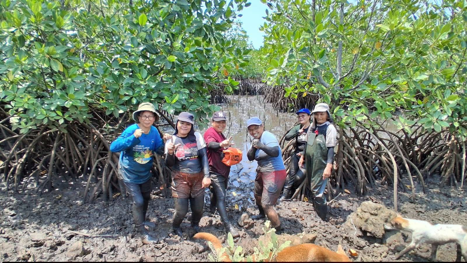 Wisye Sahambangung, derde van rechts, en leden van Rhizopora werken op 2 september 2026 in een mangrovebos in Sarawet. Afbeelding met dank aan Wisye Sahambangung.