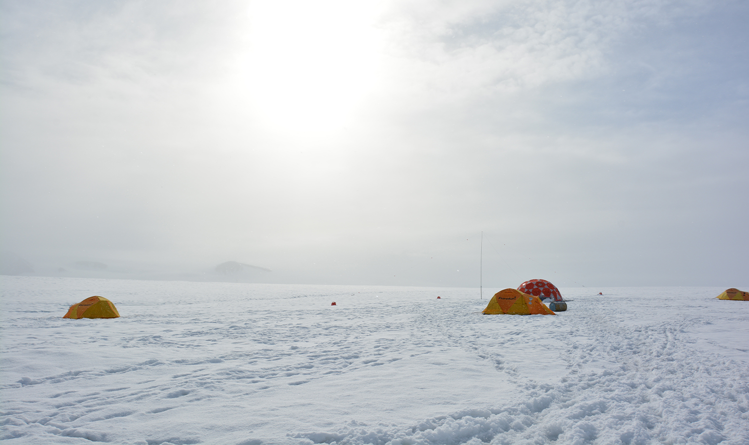Het basiskamp van onderzoekers op de Milne Ice Shelf, juli 2018. Afbeelding door Jérémie Bonneau.