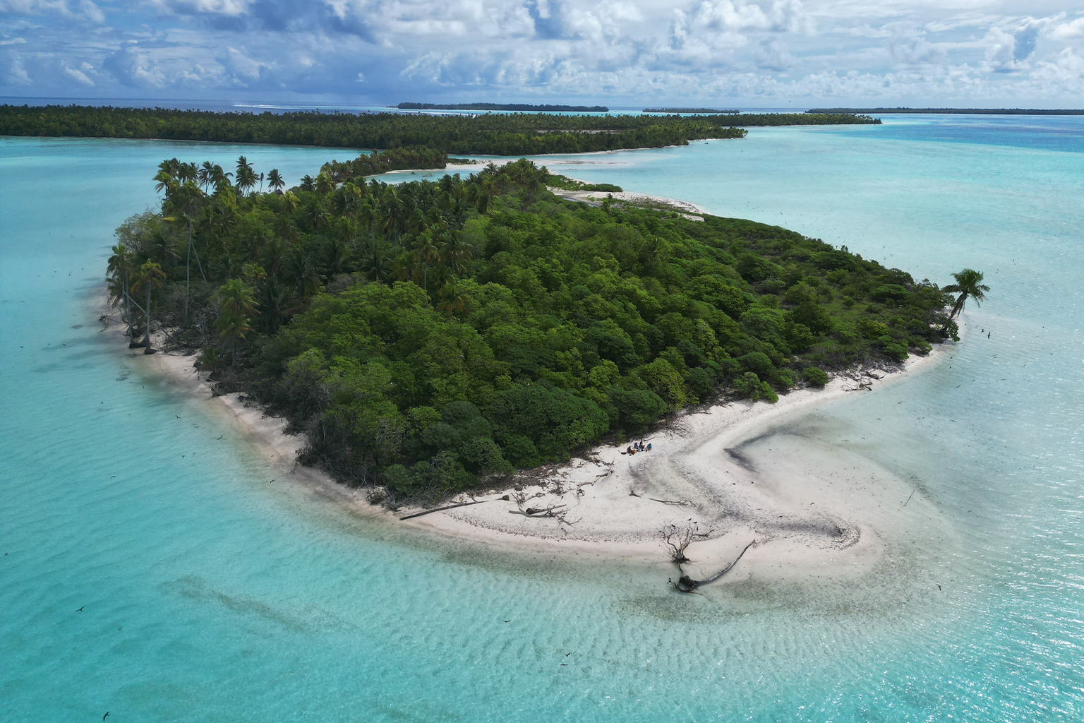 Atoleilanden van het Tetiaroa-atol, Frans-Polynesië. Onderzoek wijst uit dat het opnieuw verwilderen van atoleilanden door het uitroeien van ratten en het planten van inheemse vegetatie de klimaatbestendigheid zou vergroten, en op dunbevolkte of onbewoonde eilanden een alternatief zou bieden voor dure technische verdedigingswerken tegen de stijging van de zeespiegel. Afbeelding door Yadvinder Malhi. 