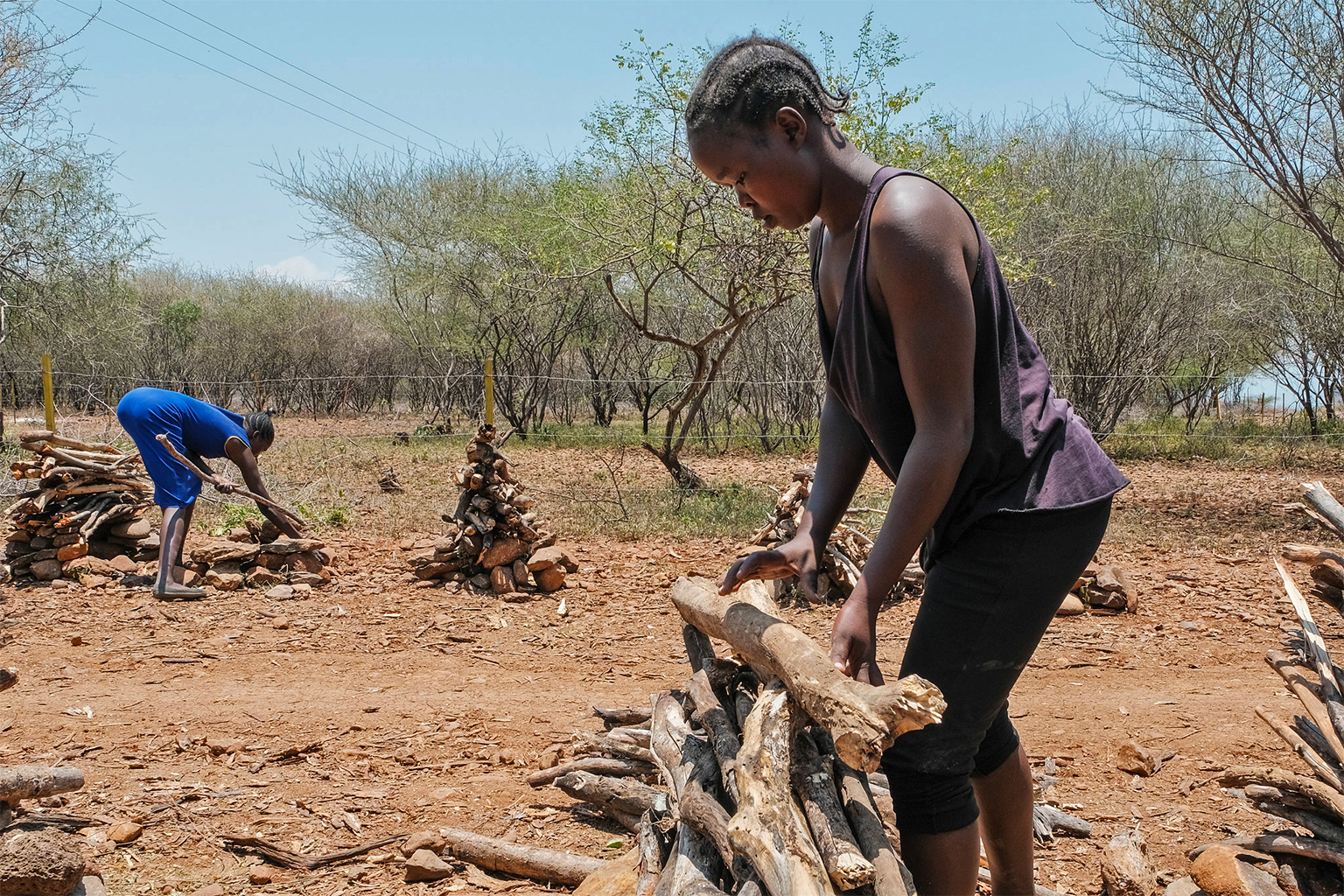 Vrouwen verzamelen en stapelen brandhout om langs de weg in de provincie Baringo te verkopen. 