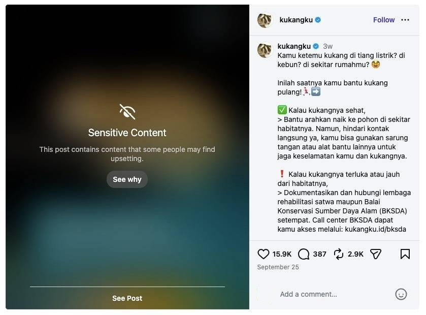Screenshot van YIARI's beperkte Kukangku-post, gedateerd 25 september 2026. Afbeelding met dank aan Winda Charmila voor Mongabay.