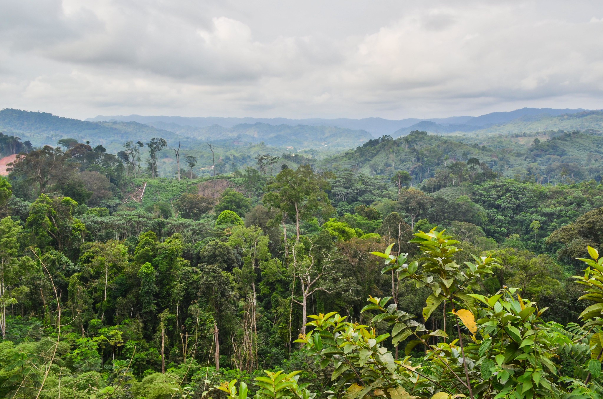 Een zicht op het Mayombe-massief in Kouilou, République du Congo. Afbeelding door jbdodane via Flickr (CC BY-NC 2.0).