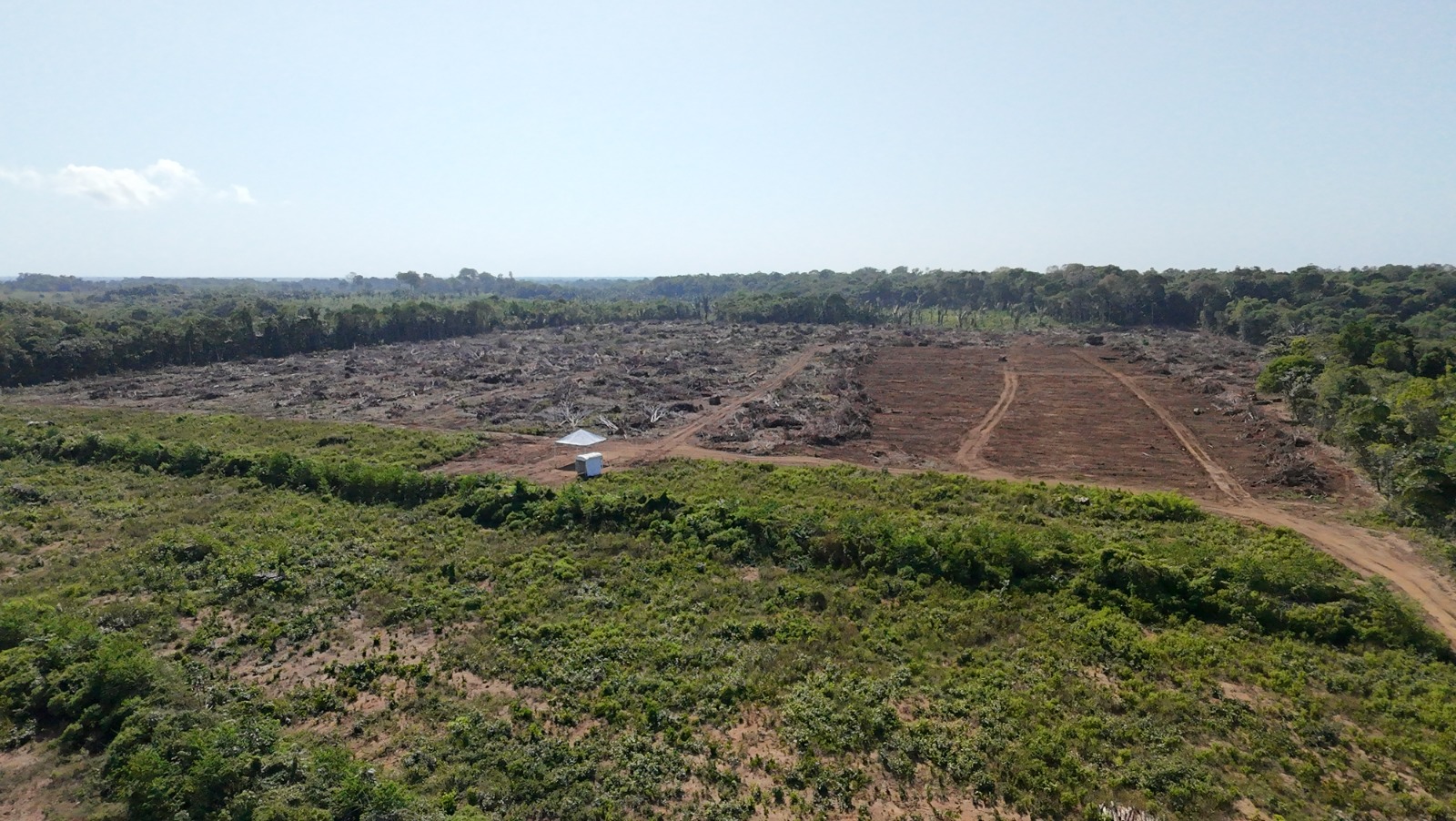 Een luchtfoto toont een groot gebied gekapt bos nabij het geplande mijncomplex Potássio Autazes in de Braziliaanse deelstaat Amazonas. Afbeelding door Filipe Gabriël Mura.