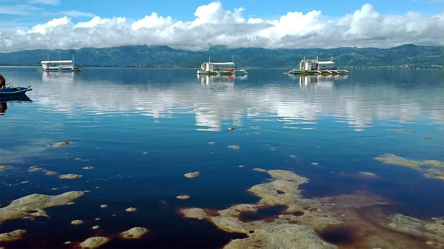 Afvalwater van een ethanollek verkleurt Bais Bay in de Filippijnse provincie Negros Oriental op 28 oktober 2025, dagen nadat ethanolafvalwater in de baai terechtkwam en aanzienlijke schade veroorzaakte aan kust- en mariene ecosystemen. Afbeelding met dank aan MarGale Bancairen.