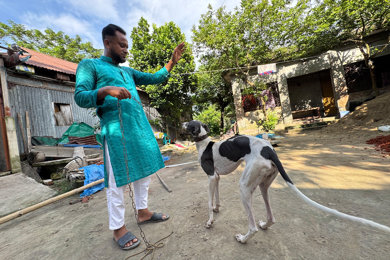 Md. Mizan Mia speelt met zijn 9 maanden oude vrouwelijke Sarail-hond in zijn woonplaats. De fysieke kenmerken van de hond lijken op die van de Engelse windhond, met lange benen, een mager lichaam, een lange staart en een smal gezicht. Afbeelding door Kamran Reza Chowdhury.