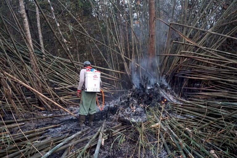Een bewoner blust met eenvoudig gereedschap een brand in Talang Turunan Gajah. Foto: Muhammad Akbar/Mongabay Indonesië.