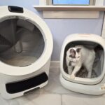 Litter-Robot 5 Versus Meowant