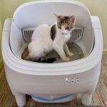 WARCAT Open-Top Self-Cleaning Smart App Control Cat Litter Box