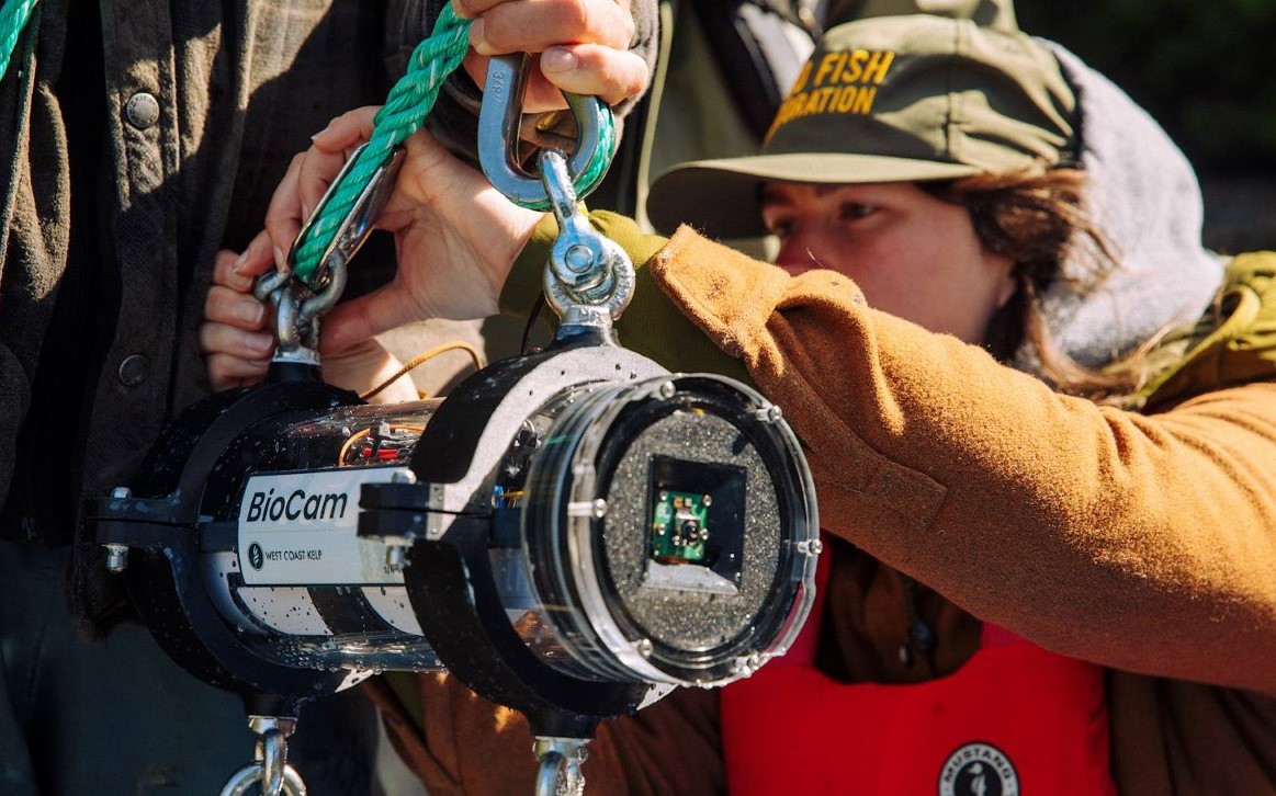 Leden van het projectteam bereiden zich voor op het installeren van onderwatercamera's in Clayoquot Sound in British Columbia om de groeiende kelpkwekerij in de gaten te houden. Afbeelding met dank aan Graeme Owsianski/Redd Fish Restoration Society.