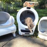 Self Cleaning Litter Boxes